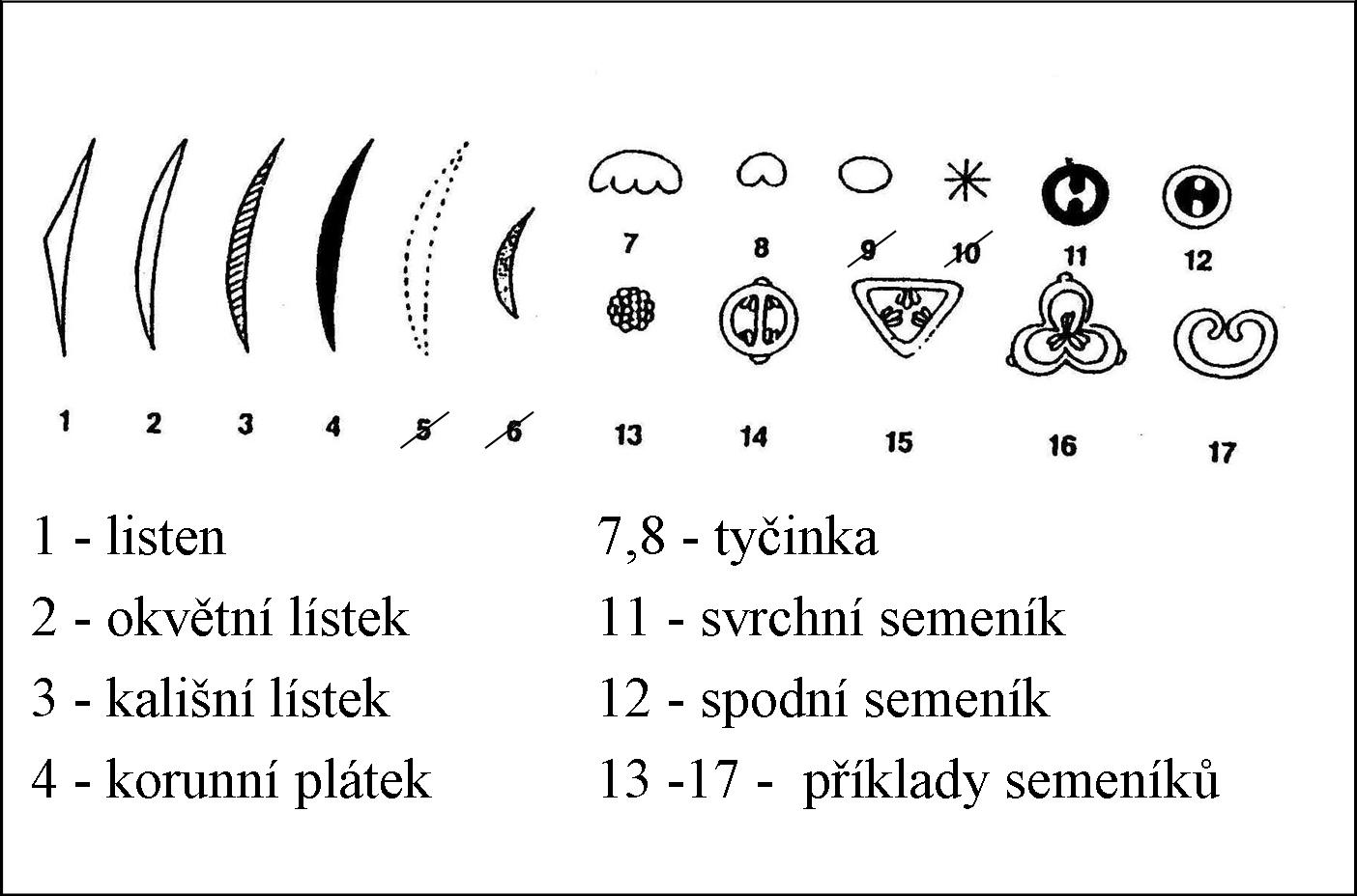 obrázek diagramových značek